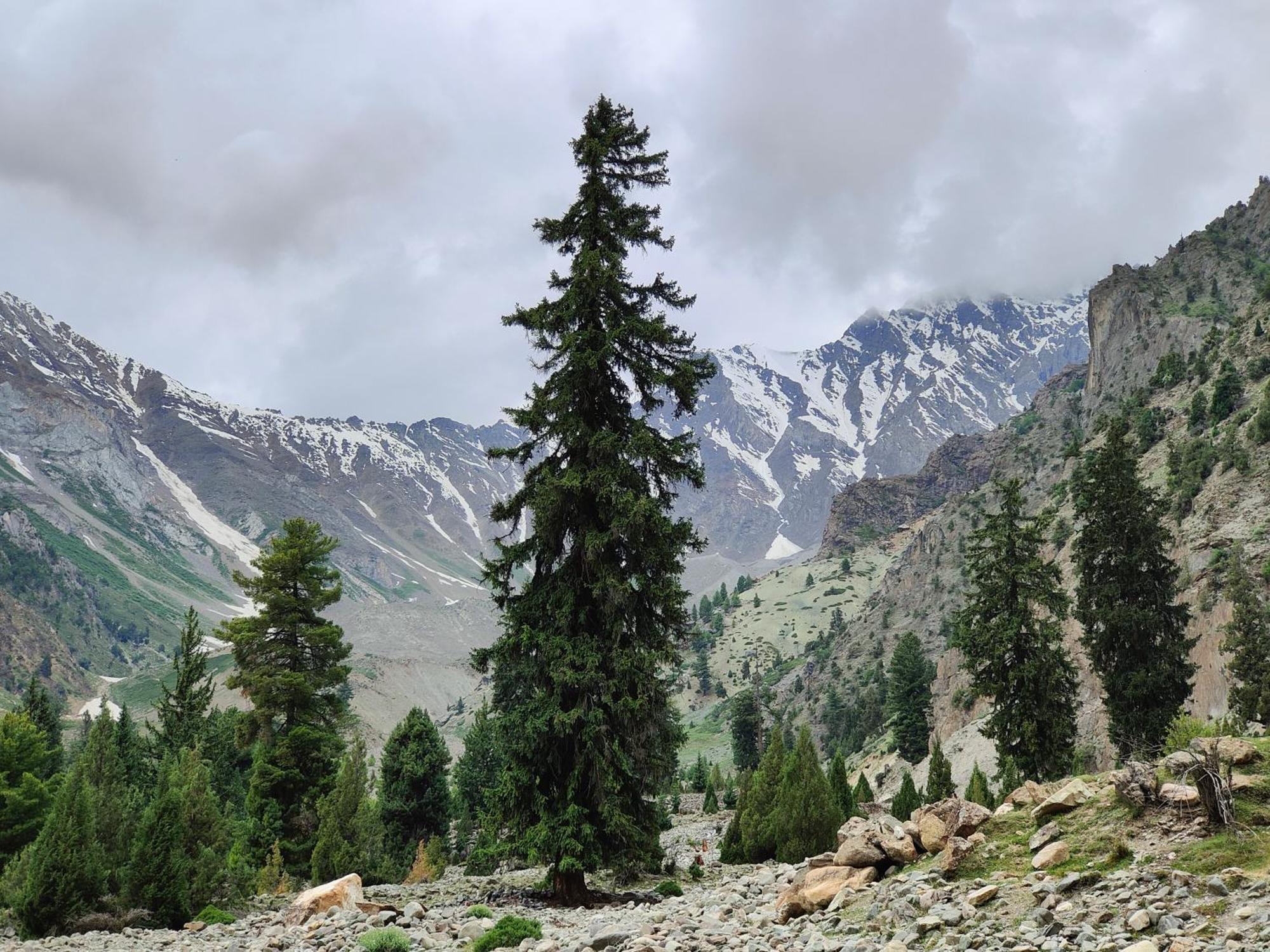 Rakaposhi Amin Hotel & Restaurant Pissan Hunza Nagar Gilgit Baltistan Exterior photo